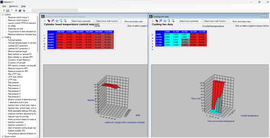 Eurodyne Maestro Revision